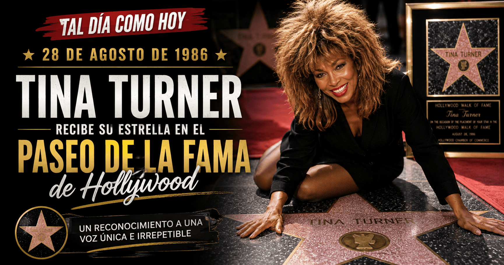 🎸 Tal día como hoy: Tina Turner recibe su estrella en el Paseo de la Fama de Hollywood